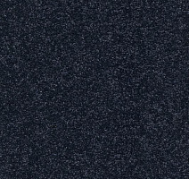 Ковролин AW Vivendi Punch 78 фото 1 | FLOORDEALER